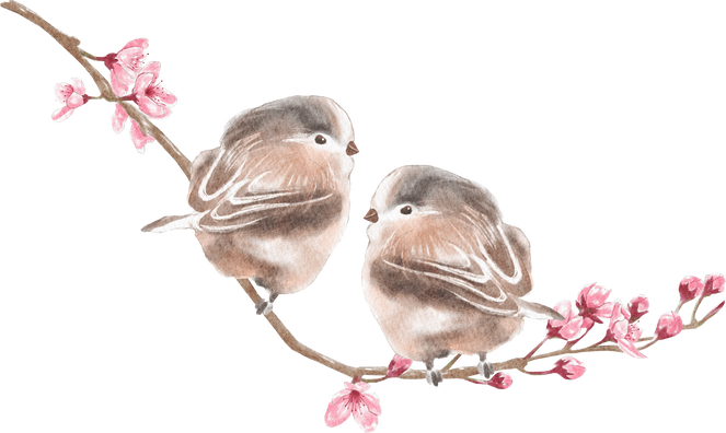 Cherry Blossom with bird